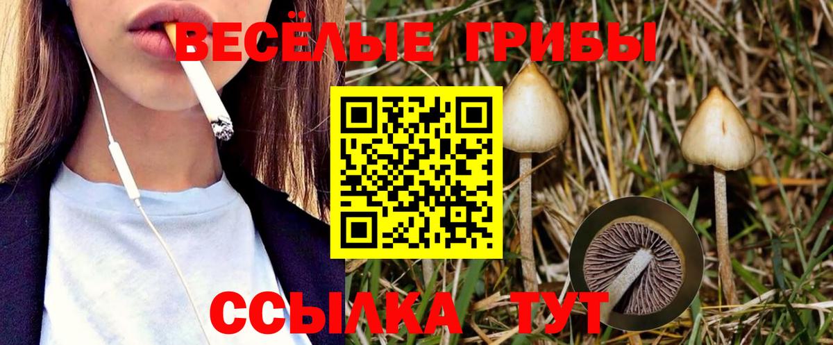 Лысьва  Псилоцибиновые грибы мицелий  Вход с VPN 